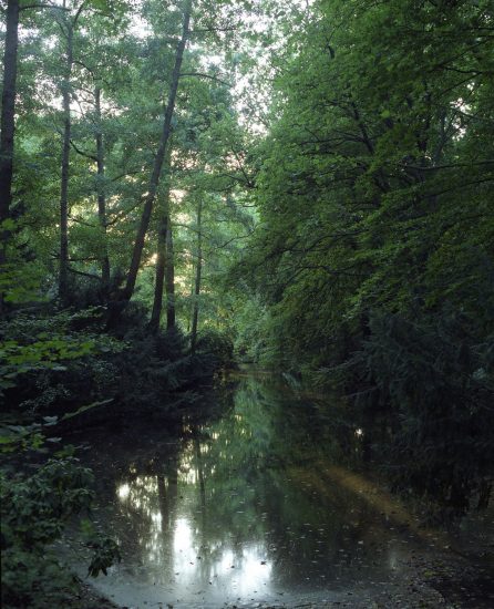 Tiergarten, Per Christian Brown. Fotograf: Per Christian Brown