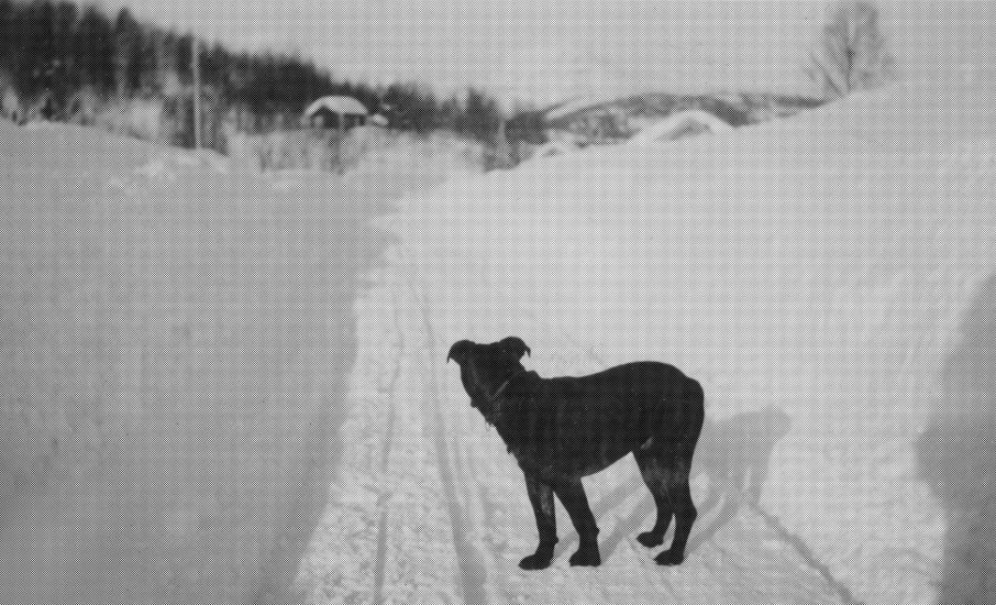 <em>On The Road Again</em>, Bjørn-Kowalski Hansen. Photographer: Bjørn-Kowalski Hansen