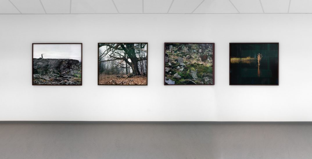 <em>Oversikt over fotoserien Eyes as Big as Plates</em>, Karoline Hjorth, Riitta Ikonen. Photographer: Werner Zellien
