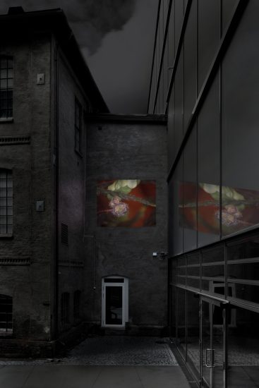 Cryptogami (stillbilde/rendering), Christine Ödlund. Fotograf: Werner Zellien