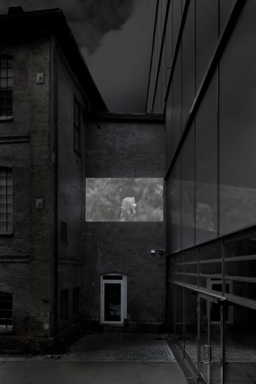 Scenes from “Holograms of Ecolonia” (stillbilde/rendering), Carolina Jonsson. Fotograf: Werner Zellien