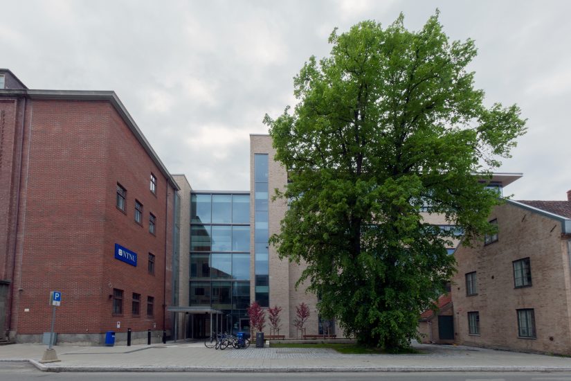 NTNU, Akrinn, . Fotograf: Werner Zellien