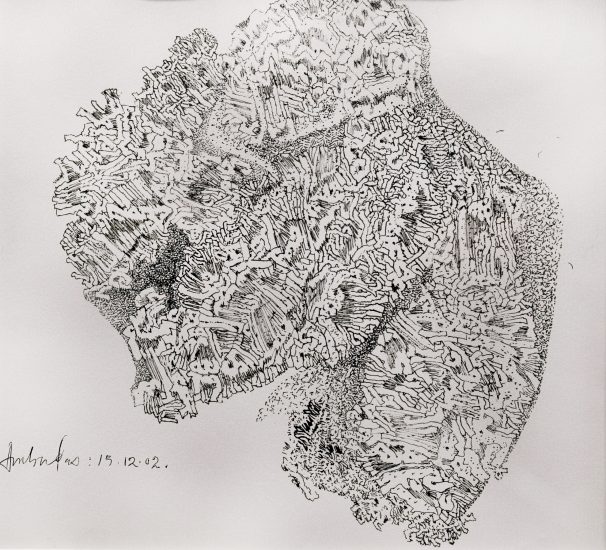 <em>Exploration VI</em>, Ambadas Khobragade. Photographer: Umang Bhattacharyya