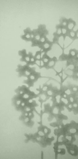 <em>Treskygger</em>, Astrid Nondal. Photographer: Dannevig Foto