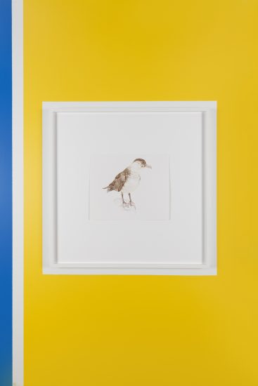 Storjo, Thorbjørn Sørensen. Fotograf: KORO