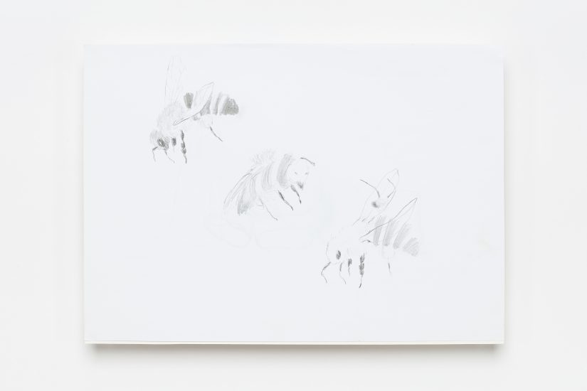 <em>Anne Knutsdatter Wille</em>, blyant på papir, 2009. Photographer: Vegard Kleven