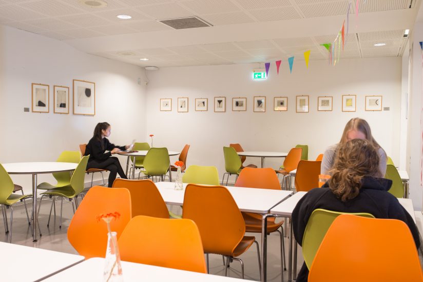 oversikt (14 grafiske verk), Suvi Nieminen. Fotograf: Thor Brødreskift