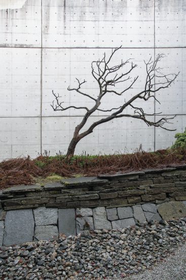 <em>SEIGEN-tei (2)</em>, Shunmyo Masuno. Photographer: Thor Brødreskift