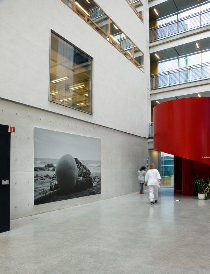 <em>Uten tittel (Hode på stranden)</em>, Tom Sandberg. Photographer: Jiri Havran