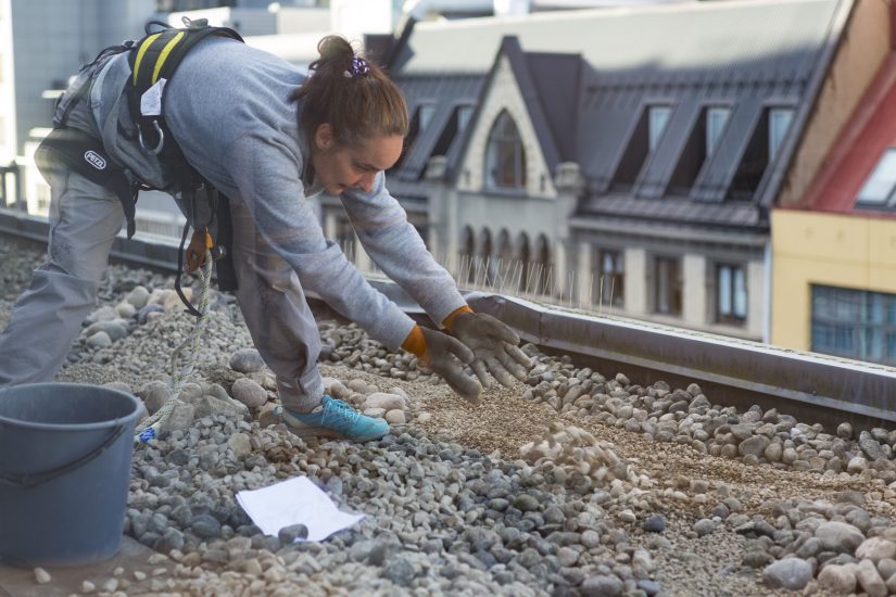 Alle verdens elver, Elin T. Sørensen, Henning Linaker, Mads Pålsrud. Fotograf: Alex Asensi