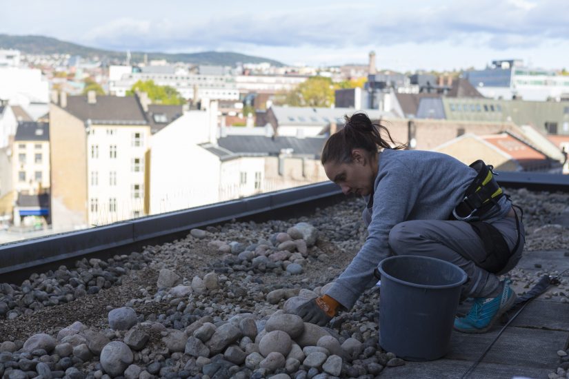 Kunstner Elin T. Sørensen i arbeid med steinhagen utenfor vinduene til Utlendingsnemndas venterom, . Fotograf: Alex Asensi