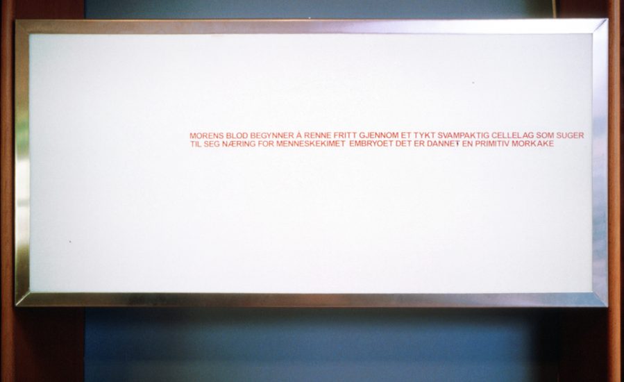 Betraktninger, Annebeth Meldal. Fotograf: Michael O'Donnell
