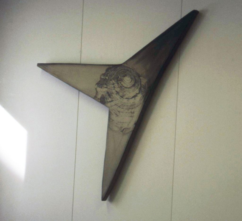 <em>Konkylie II</em>, Solveig Lohne. Photographer: Michael O'Donnell