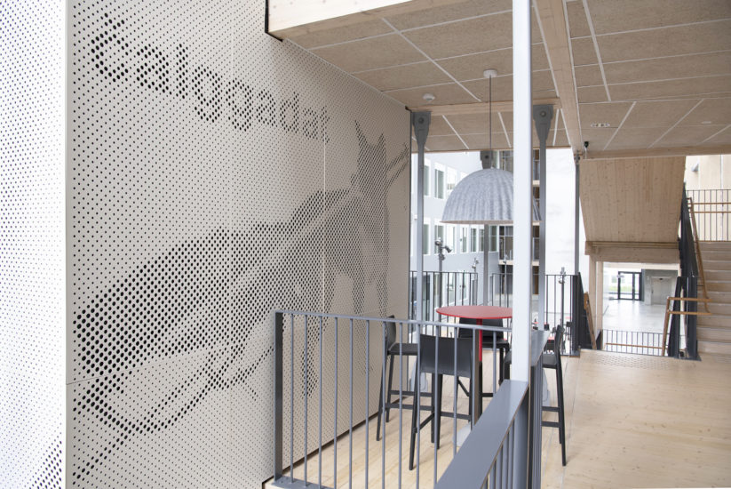 Čalggadat, Anne-Karin Furunes. Fotograf: Ingun Alette Mæhlum
