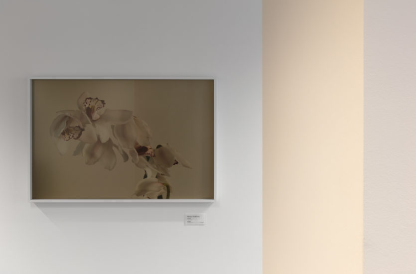 <em>lips</em>, Morten Andenæs. Photographer: Werner Zellien