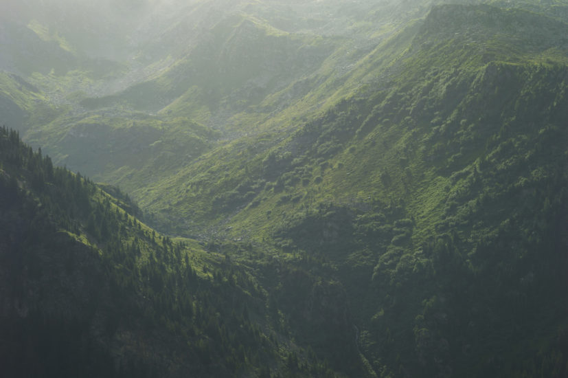 the veil, Morten Andenæs. Fotograf: Morten Andenæs