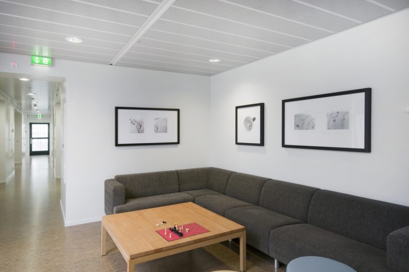 <em>Kopp</em>, Unn Kristin Laberg. Photographer: Øystein Thorvaldsen
