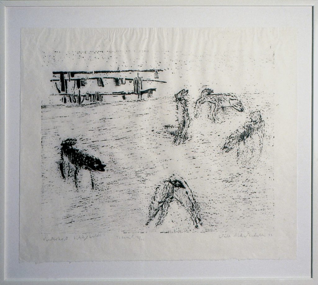 <em>Vinterkvitt bikkjebilde</em>, Ståle Blæsterdalen. Photographer: Nanna Cecilie Brekke
