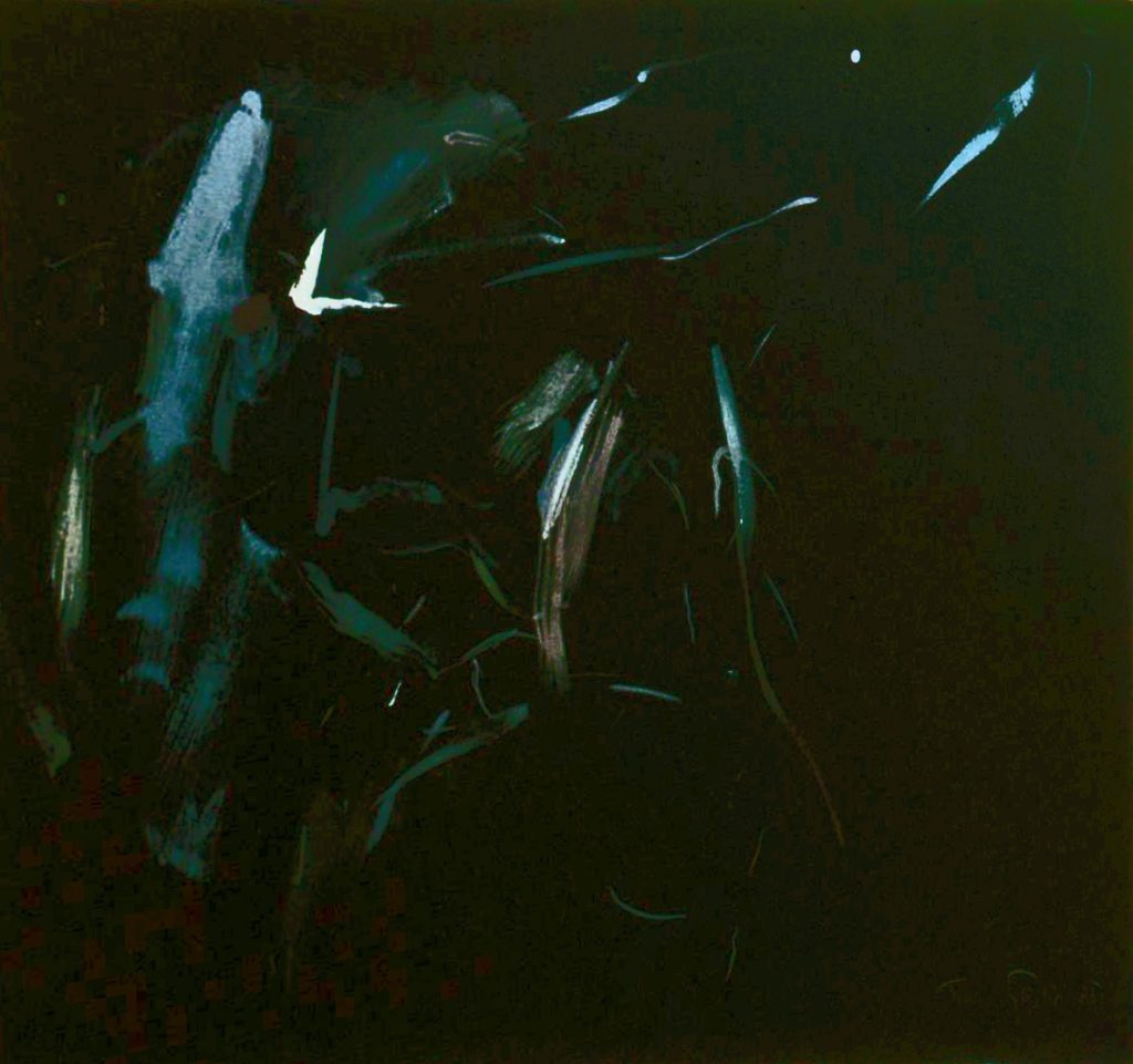 <em>Autumn stardust</em>, Trudi Jaeger. Photographer: Nanna Cecilie Brekke