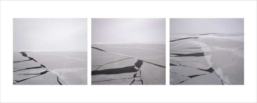 <em>Gråis</em>, Arvid Sveen. Photographer: Arvid Sveen