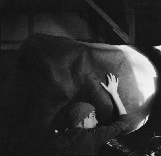 <em>The ideal state (Singing and milking)</em>, Una Hunderi. Photographer: Una Hunderi