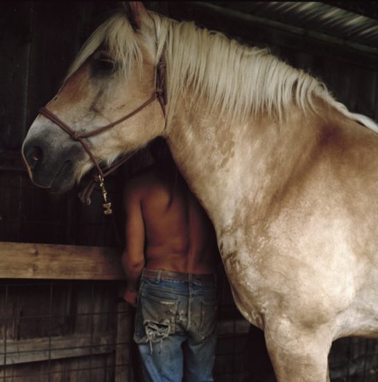 <em>The ideal state (The apprentice tending the horses)</em>, Una Hunderi. Photographer: Una Hunderi