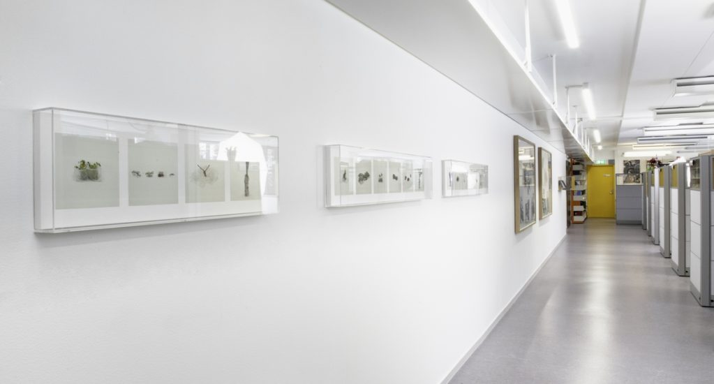 <em>Plants (prohibited)</em>, Taryn Simon. Photographer: Brynhild Seim