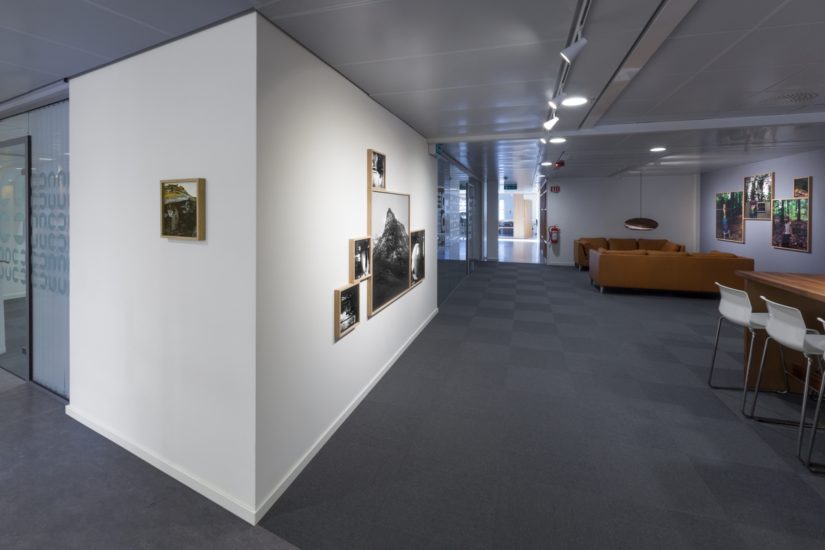 <em>The ideal state (Driftwood kitchen)</em>, Una Hunderi. Photographer: Werner Zellien