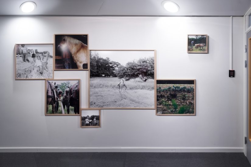 <em>The ideal state (Spreading straw mulch nurtures the plants)</em>, Una Hunderi. Photographer: Werner Zellien