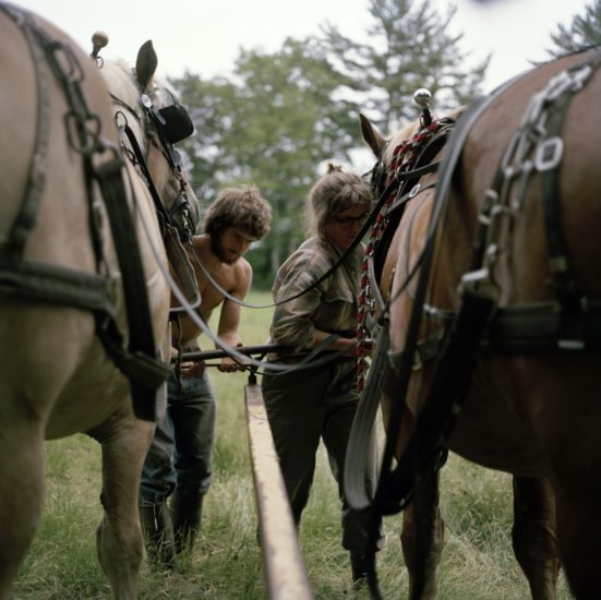 <em>The ideal state (Harnessing the horses before work)</em>, Una Hunderi. Photographer: Una Hunderi