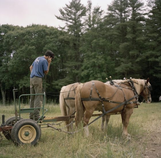 <em>The ideal state (A break)</em>, Una Hunderi. Photographer: Una Hunderi