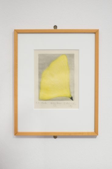 Helmikuu VII, Suvi Nieminen. Fotograf: Thor Brødreskift