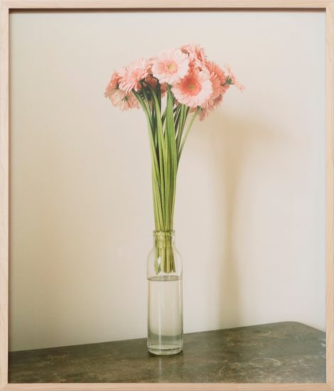 <em>Restricted Flora (3)</em>, Ingrid Eggen. Photographer: Werner Zellien
