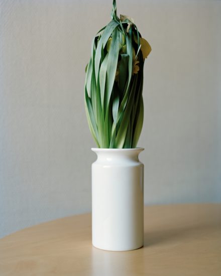 Restricted Flora (1), Ingrid Eggen. Fotograf: Eggen Ingrid