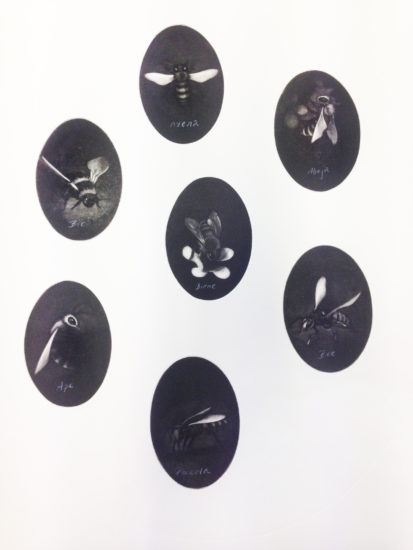 <em>Bienes familietre</em>, Gro Petersen. Photographer: Sissel Lillebostad