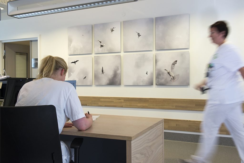 <em>They have souht out many inventions #5-12</em>, Grethe Irene Einarsen. Photographer: Kolbjørn Hoseth Larssen