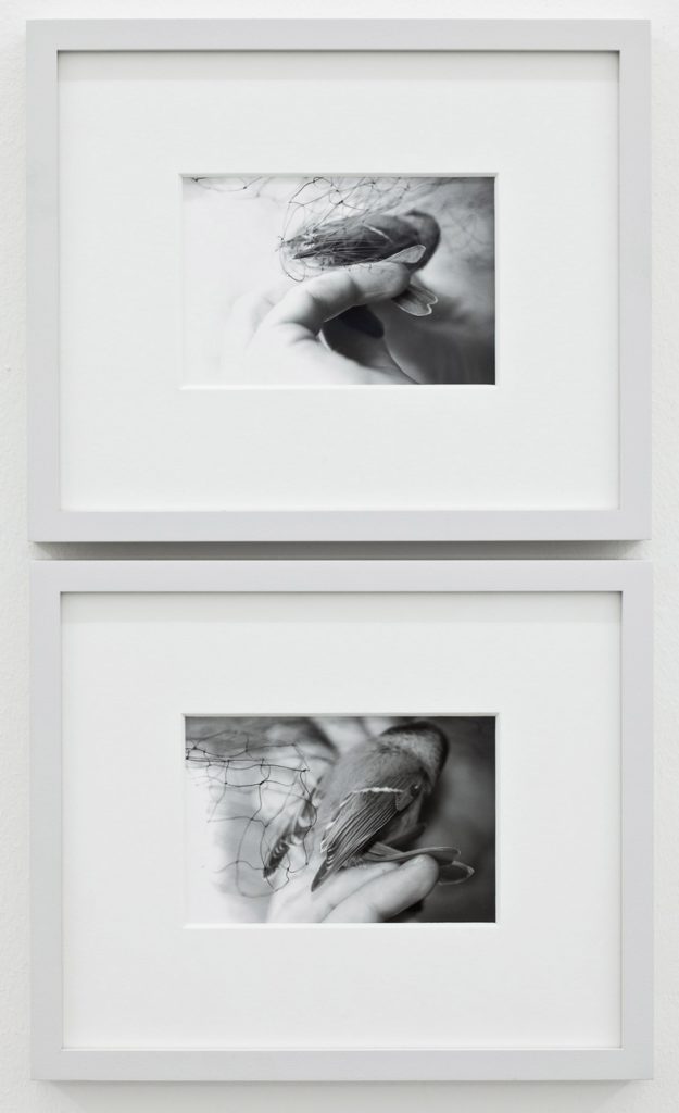 <em>Linear (Turning)</em>, Ane Graff. Photographer: Karen Christine Tandberg