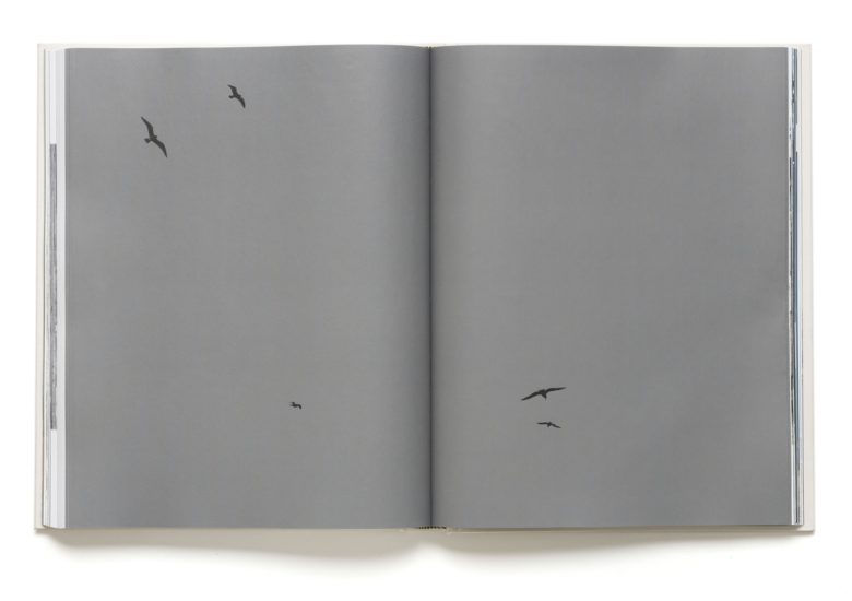 <em>Site Seeing</em>, Marte Aas, Nina Witoszek FitzPatrick, Talleiv Taro Manum, Tom Sandberg, Gerd Tinglum. Photographer: Jens Sølvberg