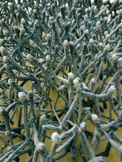 <em>Uten tittel</em>, Inge van der Drift. Photographer: KORO/Cathrine Wang