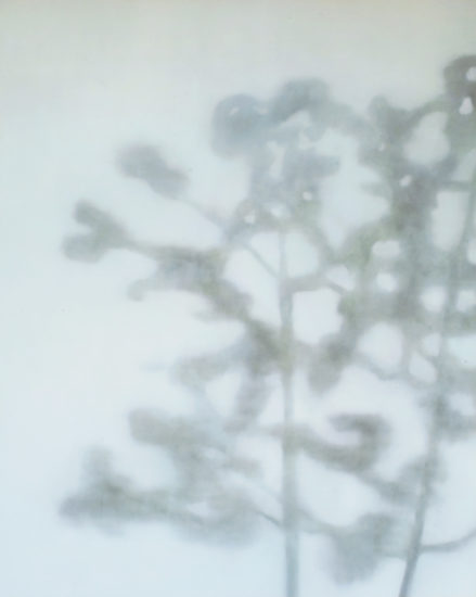 <em>Skygge av trær</em>, Astrid Nondal. Photographer: Jaro Hollan