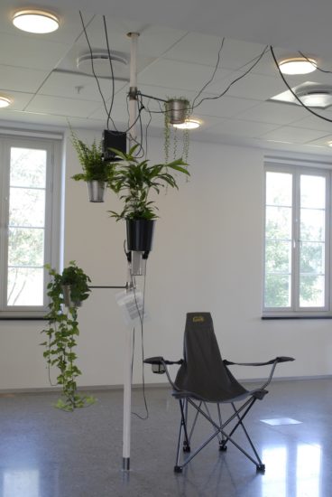 <em>The Ears of the Field</em>, Siri Austeen. Photographer: Per Formo