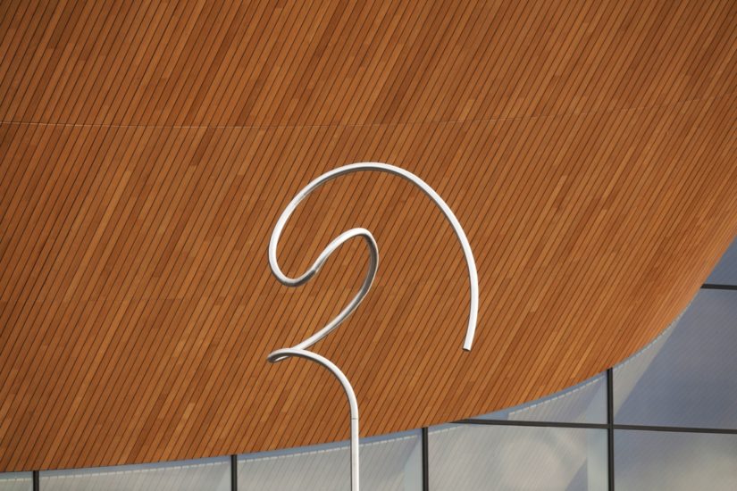 <em>Danseren</em>, Reinhard Haverkamp. Photographer: Werner Zellien