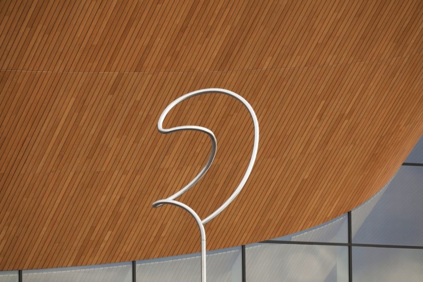 <em>Danseren</em>, Reinhard Haverkamp. Photographer: Werner Zellien