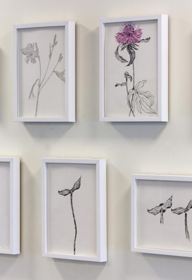 <em>Hommage a Dagny Tande Lid / Why do I draw?</em>, Lotte Konow Lund. Photographer: Annar Bjørgli