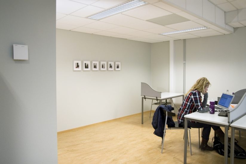 <em>Western kingbird juvenal wing (5)</em>, Ane Graff. Photographer: Ulf Rokkan