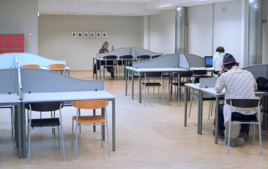 <em>Western kingbird juvenal wing (5)</em>, Ane Graff. Photographer: Ulf Rokkan