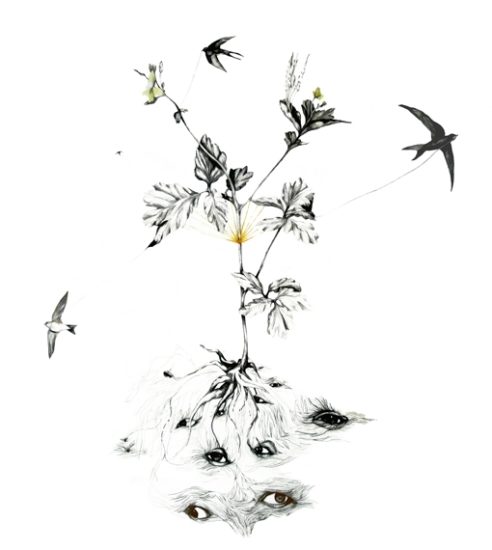 <em>Chelidonium Majus (Svaleurt)</em>, Maja Nilsen. Photographer: Maja Nilsen