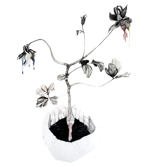<em>Aquilegia Vulgaris (Akeleie)</em>, Maja Nilsen. Photographer: Maja Nilsen