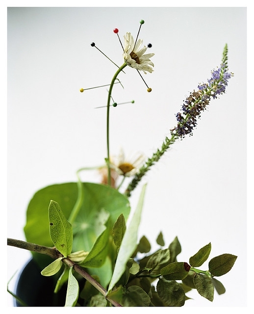 <em>Voodoo I</em>, Bjørgli Annar. Photographer: Bjørgli Annar