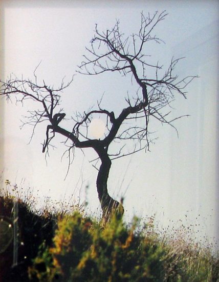 <em>Uten tittel</em>, Bjørgli Annar. Photographer: Linn Cecilie Ulvin